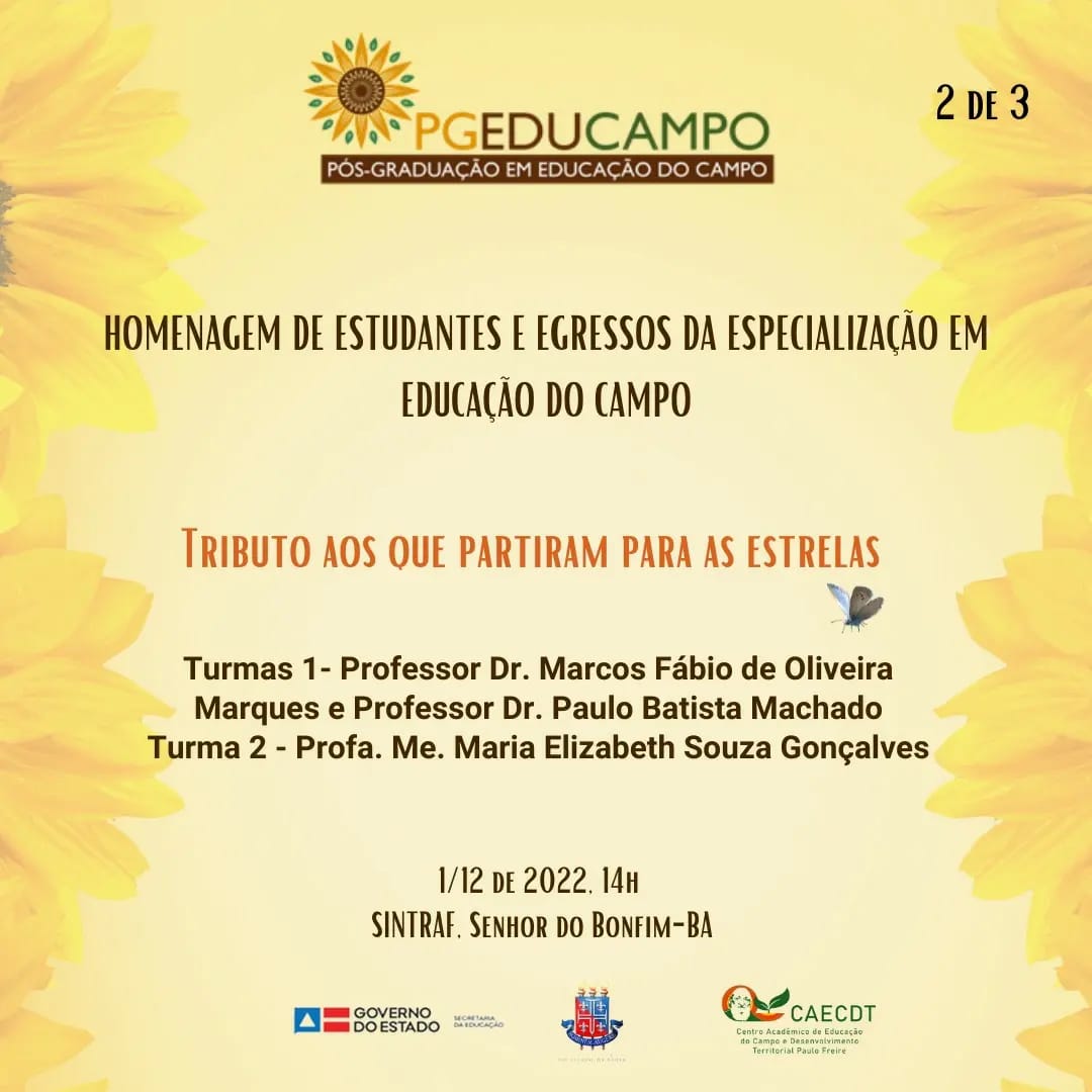 capa 2