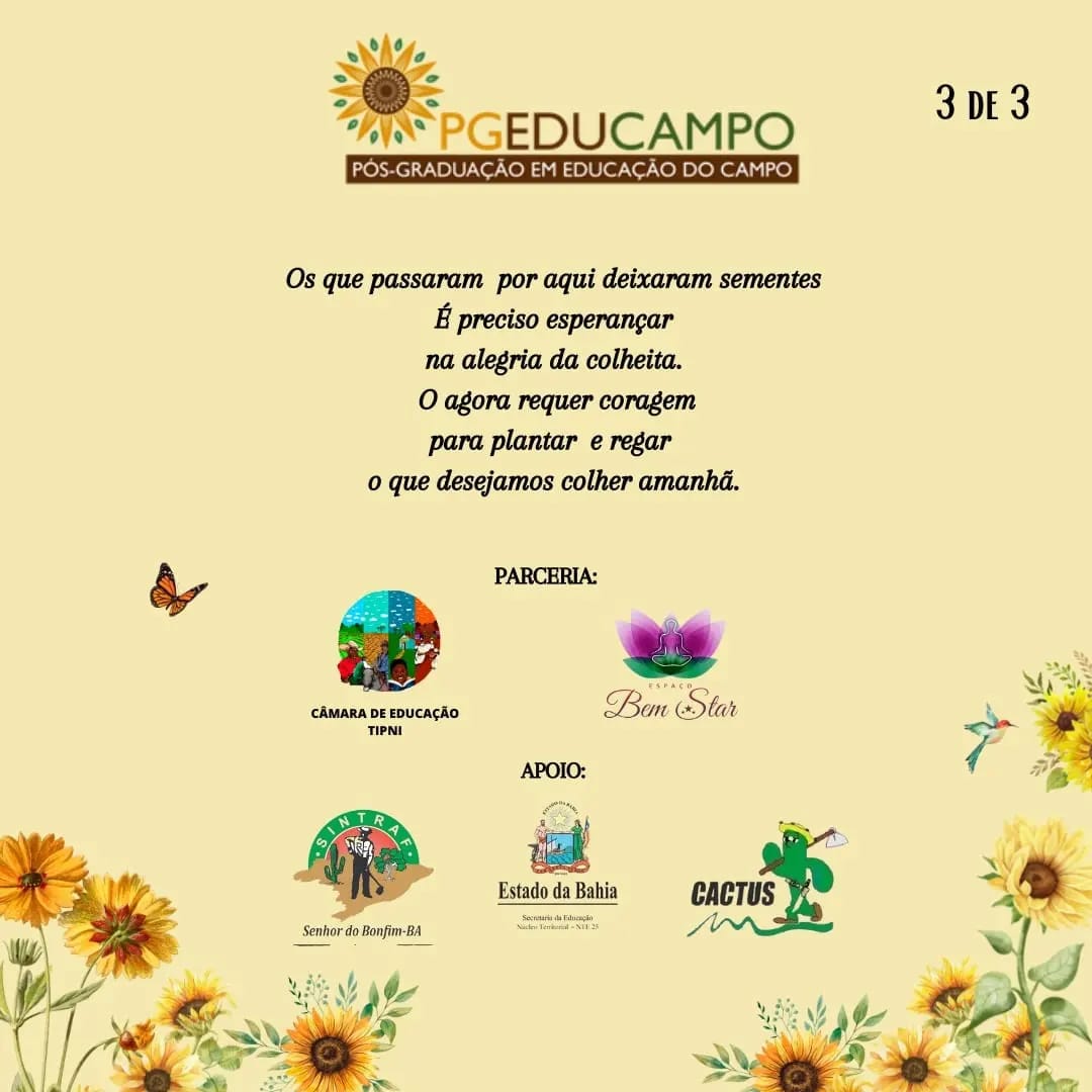 capa 3