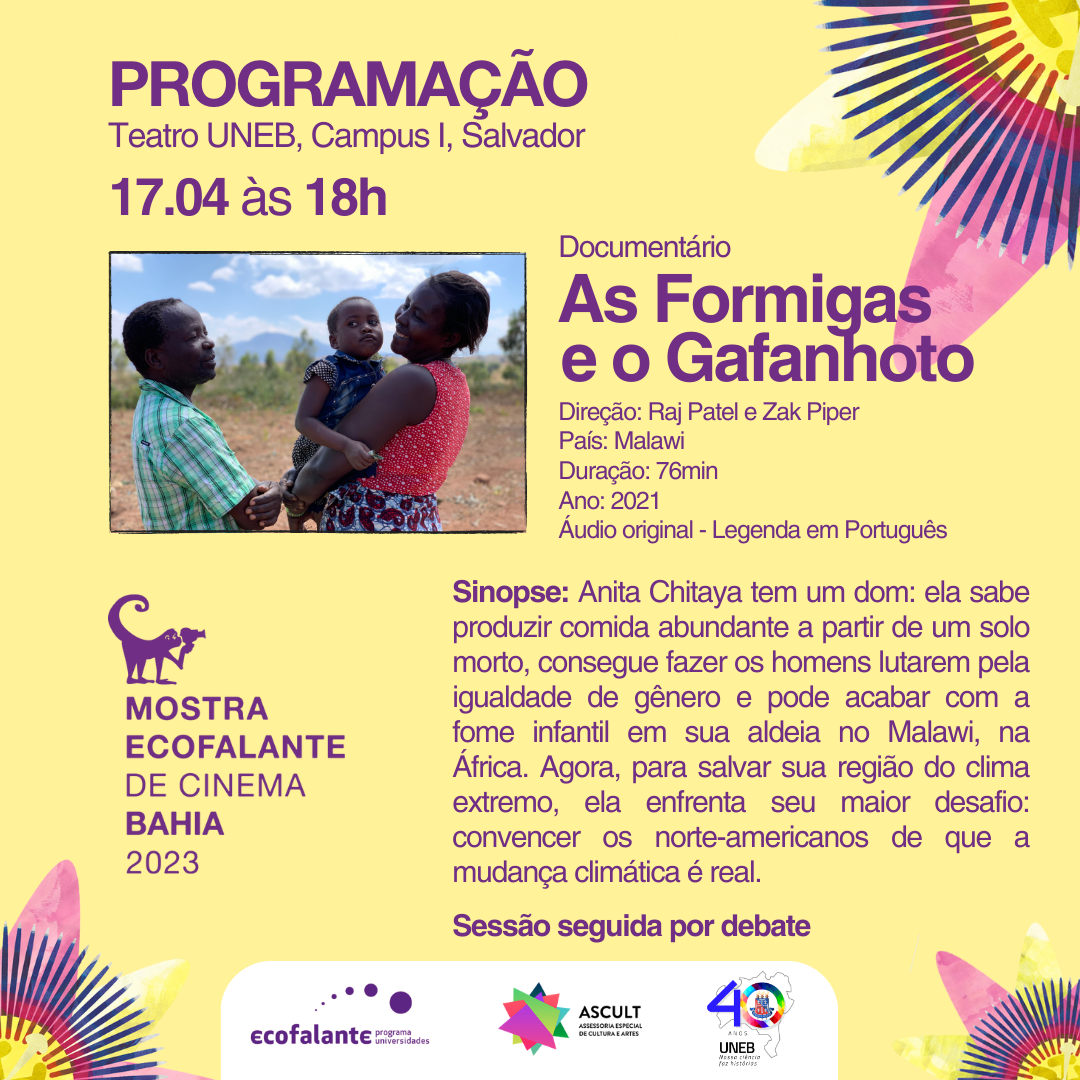programação 6