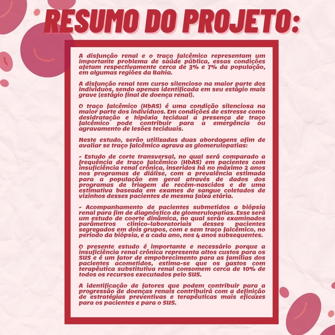 Banner 3